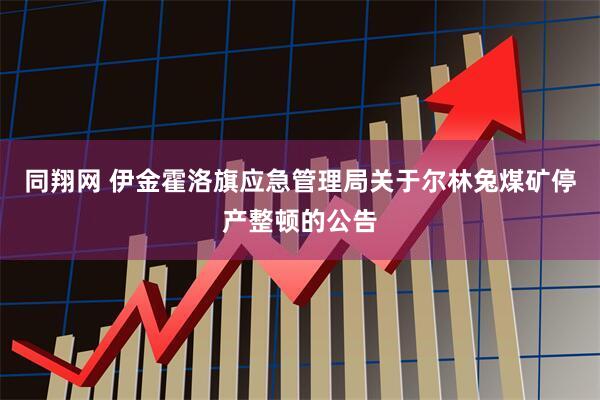 同翔网 伊金霍洛旗应急管理局关于尔林兔煤矿停产整顿的公告