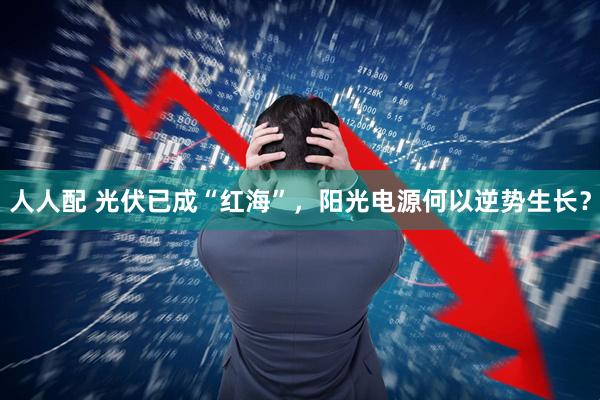 人人配 光伏已成“红海”，阳光电源何以逆势生长？